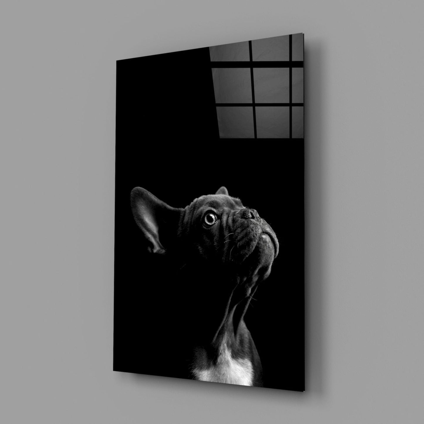 Black and white bulldog glass wall art mounted on gray wall, shown at three-quarter angle with window grid visible at top.