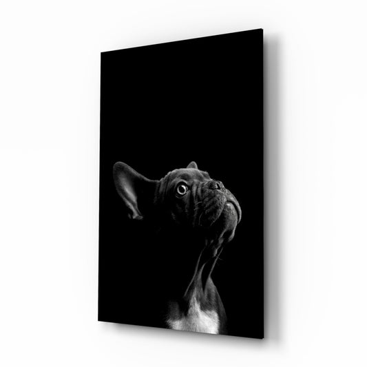 Black and white glass wall art featuring a French Bulldog's head tilted upward against a dark background.