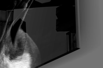 Black and white photograph showing bulldog glass wall art mounted on white wall, viewed from side angle with dramatic lighting.