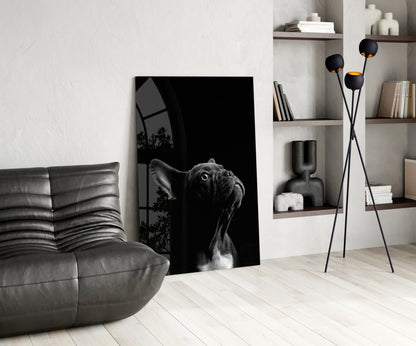 Black and white bulldog glass wall art displayed in modern living room with gray sofa and shelving.