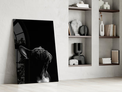Black and white glass wall art of a bulldog's head leaning against white shelving with decorative items.