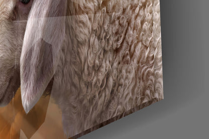 Close-up detail of textured glass surface showing curved relief patterns in cream and taupe tones with soft lighting.