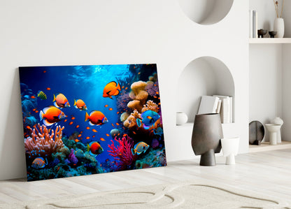 Orange Tropical Fish Coral Reef Glass Wall Art