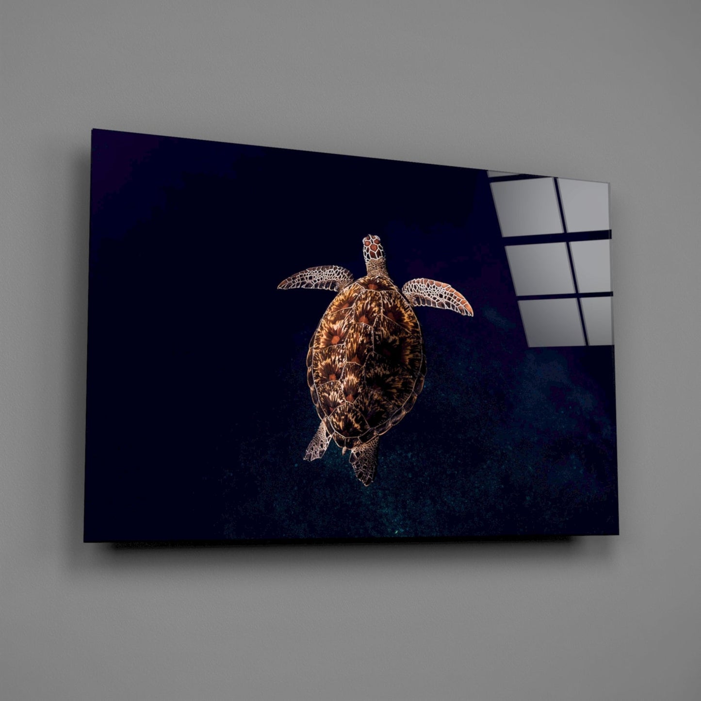 Sea turtle rendered in gold detail swimming against deep blue glass panel mounted on gray wall.