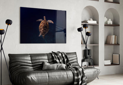 Dark blue glass wall art featuring a brown sea turtle centered on navy background, displayed above gray leather sofa in modern living room.