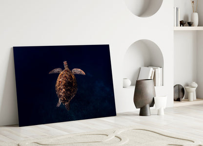 Canvas art displaying a brown sea turtle centered on dark navy background, leaning against white wall in minimalist interior setting.