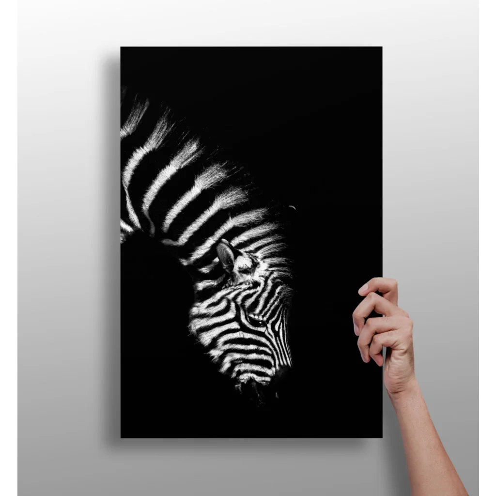 Insigne Aluminum Prints That Transform Your Space | Insigneart USA | vintageantiquesgifts.com