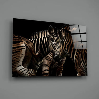 Stunning black and white zebra glass wall art on modern acrylic panel