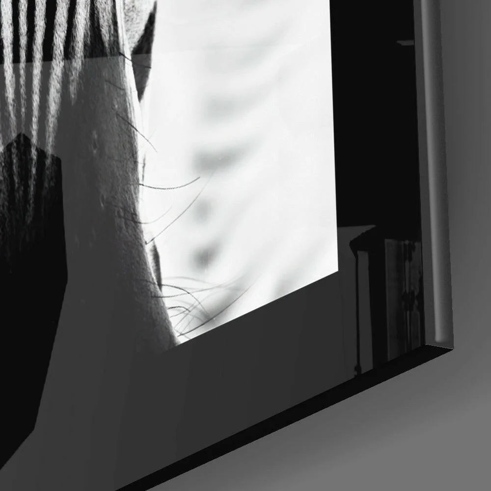 Black-and-white close-up skin photo in bold zebra stripes glass wall art frame