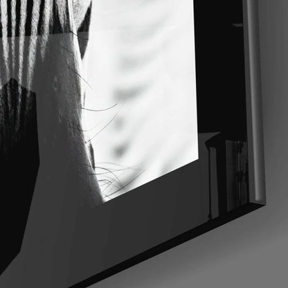 Black-and-white close-up skin photo in bold zebra stripes glass wall art frame