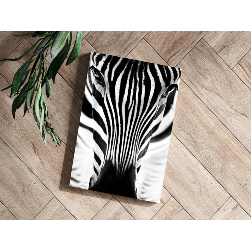 Striking zebra eye insigne aluminum print with bold black-and-white stripes