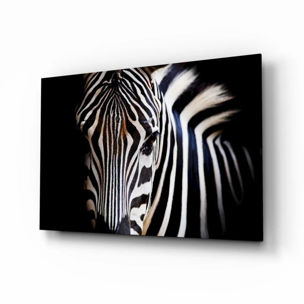 Bold striped zebra portrait on tempered glass art, size comparison view