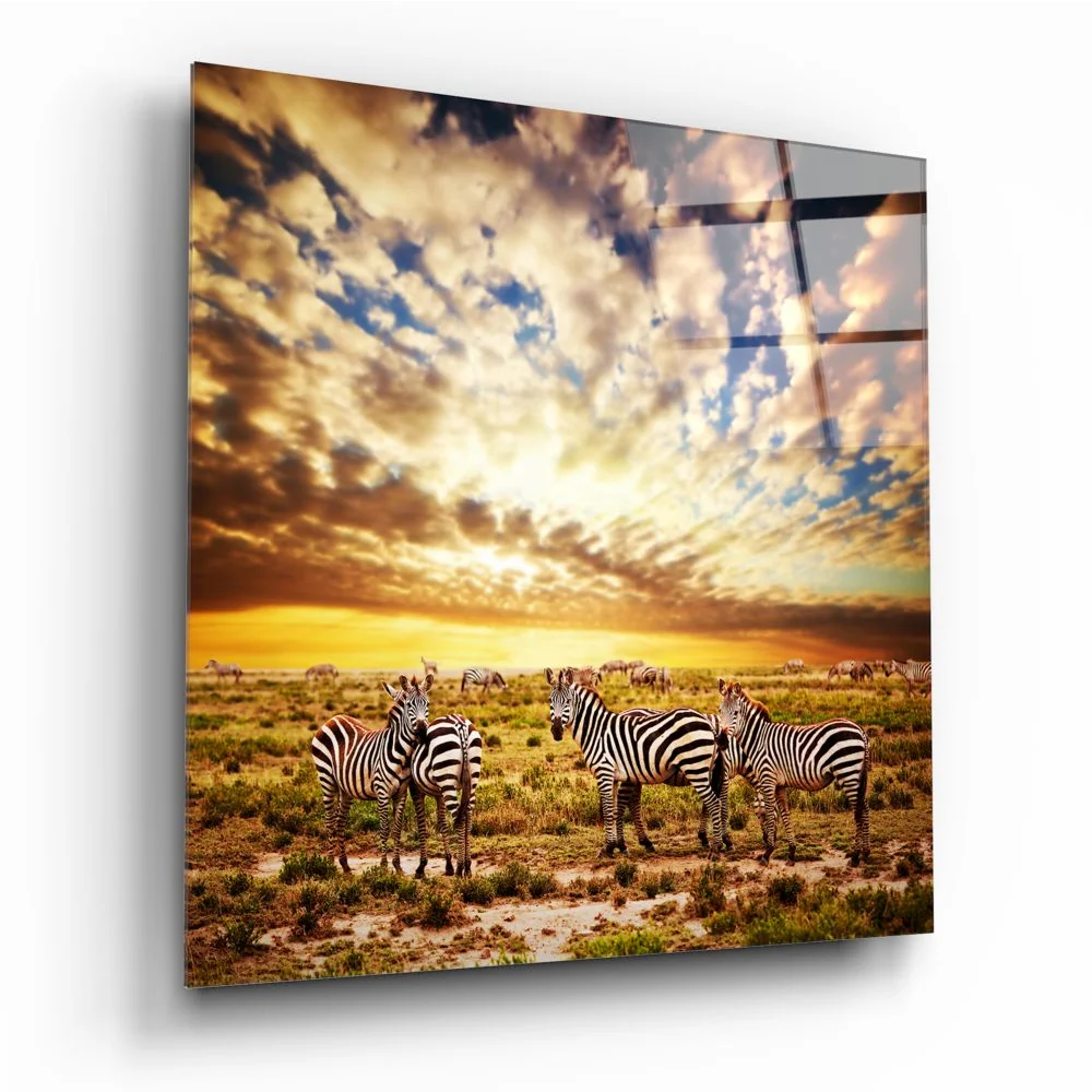 Zebra Sunset Tempered Glass Art with Size Comparison Guide | Insigneart USA | vintageantiquesgifts.com
