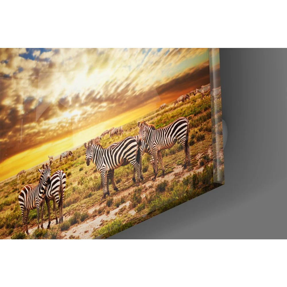 Zebra Sunset Tempered Glass Art with Size Comparison Guide | Glass Wall Art Print | vintageantiquesgifts.com