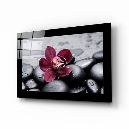 Zen Orchid glass wall art with black and white pebble stone design and vibrant pink orchid