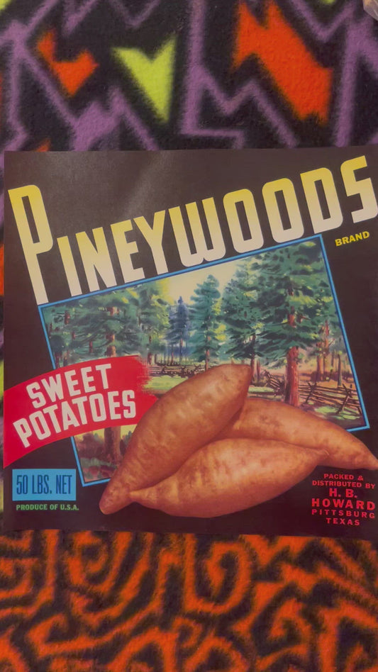 Vintage Pineywoods Brand Sweet Potato Crate Label H B Howard Pittsburg Texas Color Lithograph Pine Forest American Made 🍎