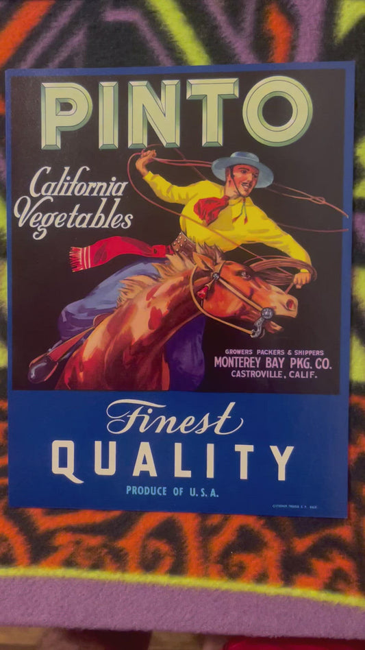 Vintage 1930s - 1940s 🤠 Pinto Crate Label, Castroville, CA, Cowboy, Rodeo