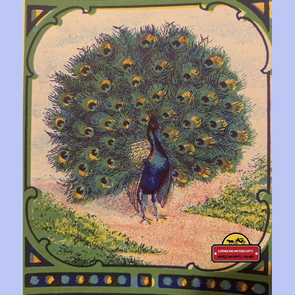 Antique Vintage Peacock Broom Label 1910s - 1940s Advertisements and Gifts Home page Rare Label: Fascinating Piece