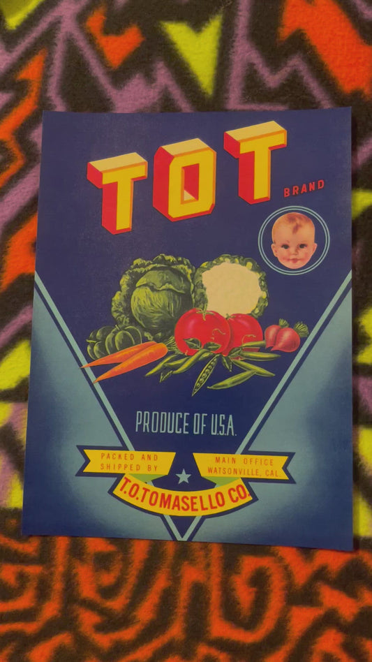 Vintage 1940s Tot Brand Vegetable Crate Label 👶 — T.O. Tomasello Co, Watsonville CA — Cute Baby Produce Art